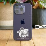 Luffy and Ace One Piece Sticker