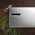 Python Hello World Sticker