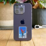 Hawks Rooftop Vigil Sticker