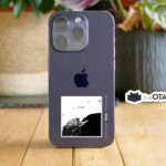 Musashi I am Nothing Sticker