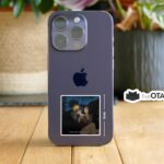 Spike and Faye Night Calm Sticker