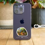 Race Lando Helmet Sticker