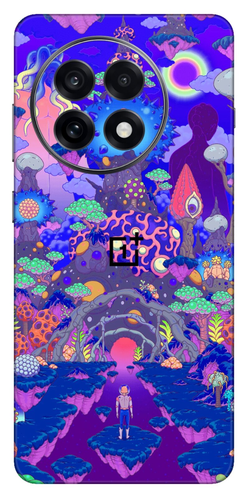 OnePlus 13R