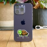 Cute Green Turtle Animal Sticker
