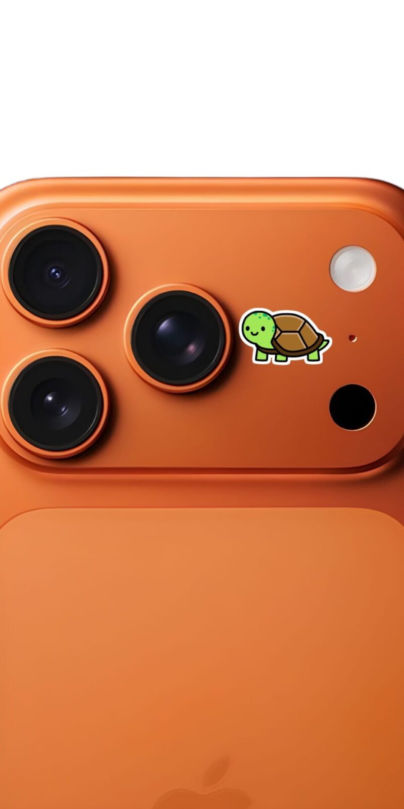 fiveOTA vinyl stickers featuring Cute Green Turtle Animal Sticker for laptops and bottles