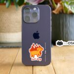Hot Dog Fire Animal Sticker