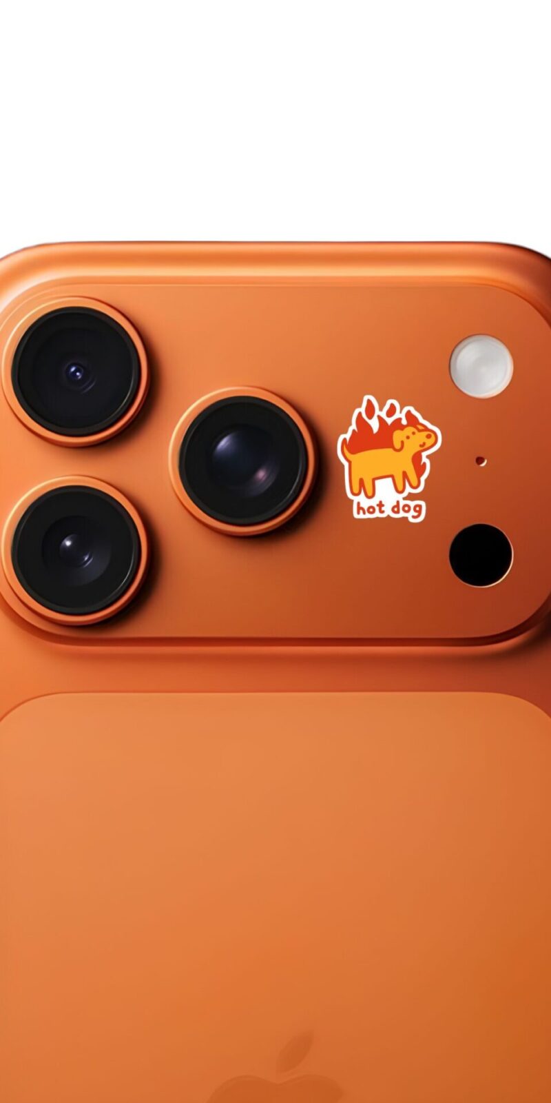 fiveOTA vinyl stickers featuring Hot Dog Fire Animal Sticker for laptops and bottles