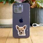 Smirking Chihuahua Funny Dog Sticker