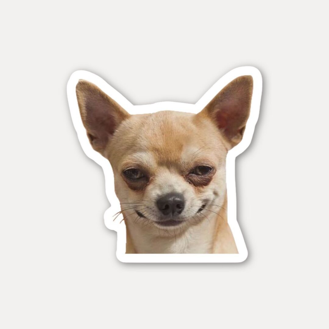 Smirking Chihuahua Funny Dog Sticker